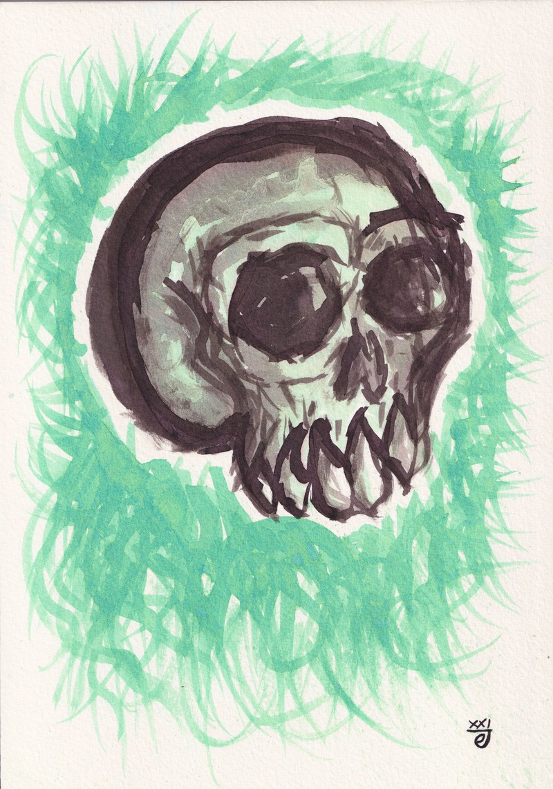 Ecofriendly skull
